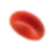 Blood Cell